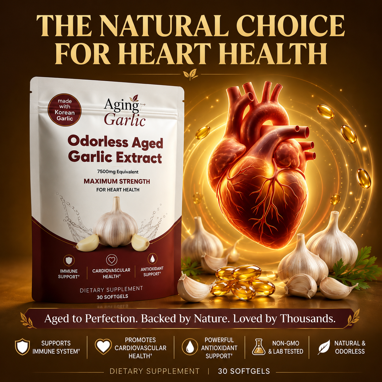 Aging Garlic supplement information